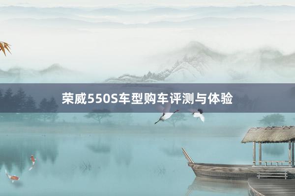 荣威550S车型购车评测与体验